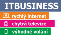 IT business